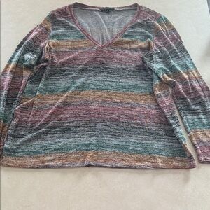 Signature Studio Multicolor Striped V-Neck Long Sleeve Top 🐯